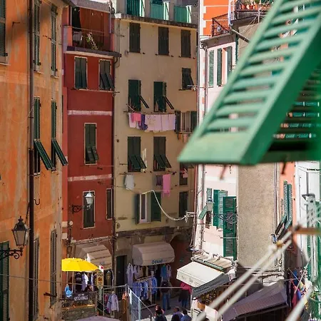 Macaia #2 With Ac * Vernazza